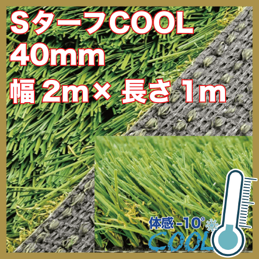 sターフcool